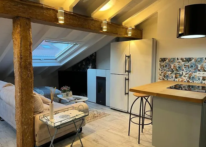 Precioso Loft En Pleno Centro De 公寓 桑坦德